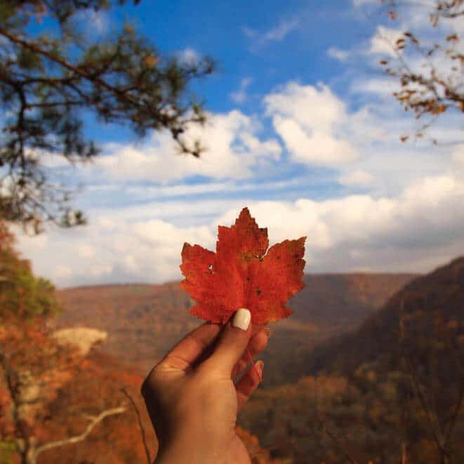Vivir en Canadá desde Colombia